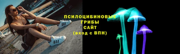 СК Богданович