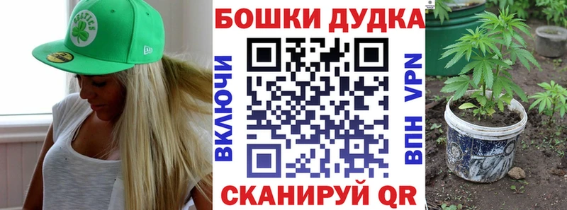 Марихуана план  Болохово 